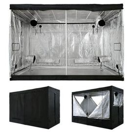 Plastic Hydroponic Indoor complete grow tent packages 240*120*200CM
